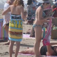 Bikini girls setting up on beach