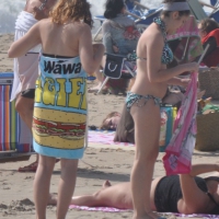 Bikini girls setting up for a day on the beach in their bikinis Bikini girls setting up on beach