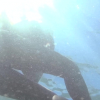 Bikini babe filmed underwater and washing off in sexy little bikini vlcsnap-2016-03-24-19h06m59s790.jpg