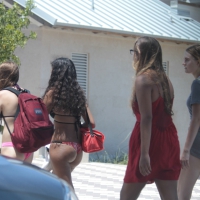 Even more hot and sexy bikini babes in Florida veryfun (33).jpg