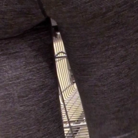 45746457jTv.jpg