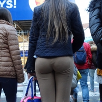 leggings, yoga pants, and spandex in public DSC05579.jpg