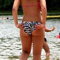 Thick bootied teen in zebra bikini 1328372208-img_0035.jpg