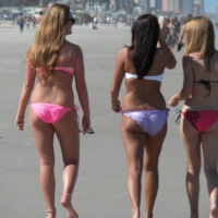 Beach and bikini babes 27746595BOL.jpg