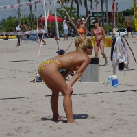Beach and bikini babes 44044977hgx.jpg