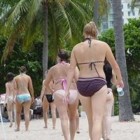 Beach and bikini babes 44045022qKK.jpg