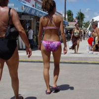 Beach and bikini babes 44045050VBy.jpg