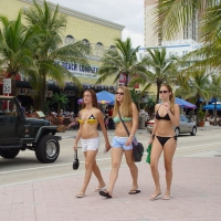 Beach and bikini babes 44045145DRn.jpg