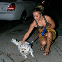 Sexy actress Hayden Panettiere paparazzi pics hayden-panettiere_15.jpg