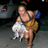 Sexy actress Hayden Panettiere paparazzi pics hayden-panettiere_16.jpg