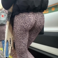 Leopard booty