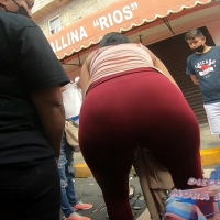 Latina vpl