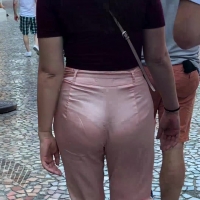 Quick panty clip