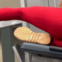 Epic candid gym babe working out in red textured leggings with an amazing ass gif3.gif.619cea118e28c6680934ed4b230b642e.gif