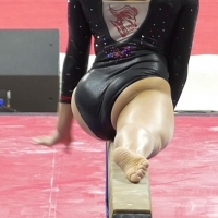 Asian gymnast