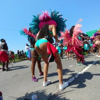 Sexy carnival babe dancing