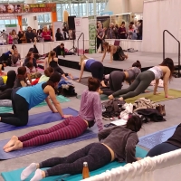 Yoga conference (part 1)