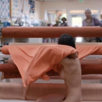 Alison Brie nude and sexy leaked images Alison-Brie-Nude-Naked-Horse-Girl-1.jpg