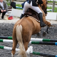 Candid equestrian hottie with a nice ass and vpl in white pants i-bK3zzVJ-XL.jpg