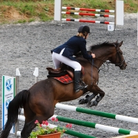 Candid equestrian hottie with a nice ass and vpl in white pants i-4zPJkz4-X4.jpg