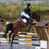 Candid equestrian hottie with a nice ass and vpl in white pants i-BWJbSKD-X4.jpg
