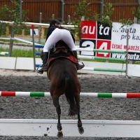 Equestrian booty