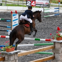 Candid equestrian hottie with a nice ass and vpl in white pants i-PqkFwQF-X4.jpg