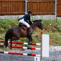 Candid equestrian hottie with a nice ass and vpl in white pants i-MQBgwkK-X4.jpg