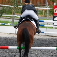 Candid equestrian hottie with a nice ass and vpl in white pants i-k5XVBjH-X3.jpg
