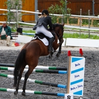 Candid equestrian hottie with a nice ass and vpl in white pants i-wLSwXjP-X4.jpg