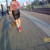 Business lady in skirt