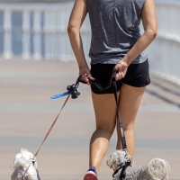 Bunch of candid babes in public in shorts 2297921@N20_33281380526_Walking The Dog (1).jpg