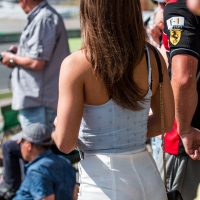 Bunch of candid babes in public in shorts 7279932@N07_49773951686_ESPECTACULAR.jpg