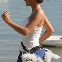 Bunch of candid babes in public in shorts 26733899@N00_2920098255_pooch carrier.jpg
