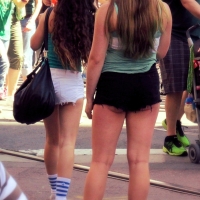 68843468@N04_13211175275_shorts.jpg