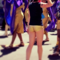 68843468@N04_14237993198_gold shorts.jpg