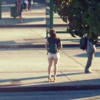 68843468@N04_14388151965_white shorts.jpg