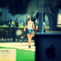 68843468@N04_14536657167_denim shorts.jpg