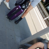 Bunch of candid babes in public in shorts 69640547.jpg