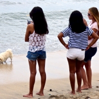 Bunch of candid babes in public in shorts 74448952@N00_25395595834_Three girls and one dog ..jpg