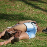 143765913@N04_37064732992_Salvador, Bahia (5).jpg