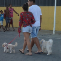 143765913@N04_37666093874_Salvador, Bahia (9).jpg
