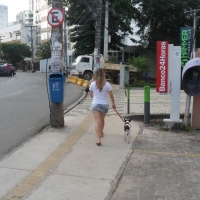 143765913@N04_38171521651_Salvador Bahia (26).jpg