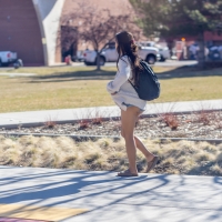 148682015@N03_49239427256_ass in shorts.jpg