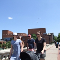 182032760@N04_48069593258_Downtown.jpg