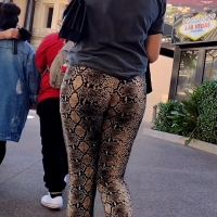 Snakeskin booty