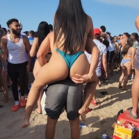 Two beach party asses