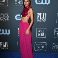 Zendaya at the 2020 Critics Choice Awards in pink outfit molding her boobs 23.jpg