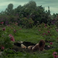 The.Neon.Demon.2016.1080p.BluRay.x264-[YTS.AG].mp4-2021-04-26-16h11m57s402.jpg
