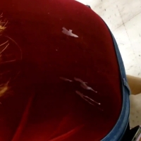 Quick clip of a candid redhead getting a cumshot on her back 1_5010804474407551470.mp4-2025-05-02-17h00m01s474.jpg